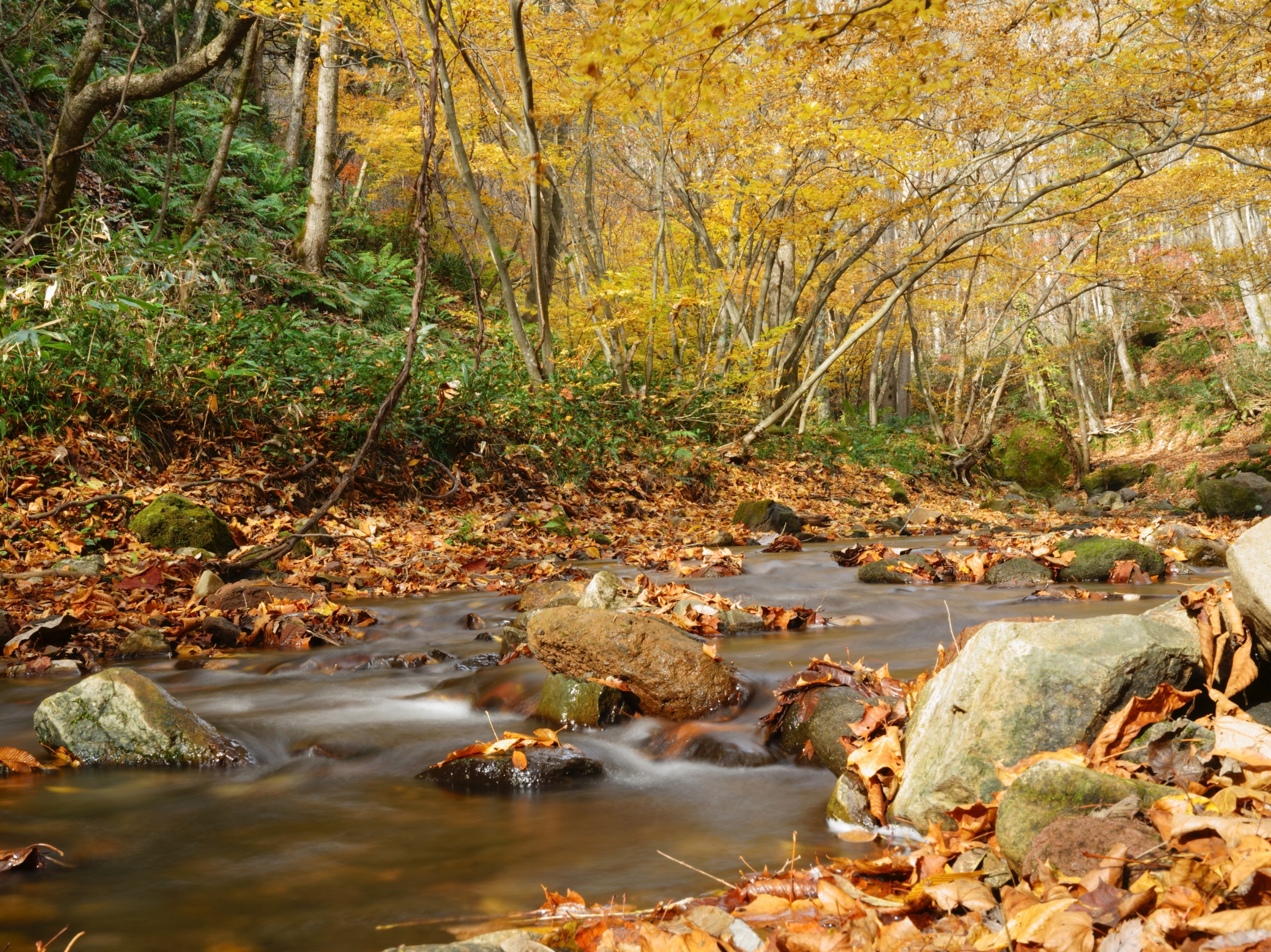 Felix Meißel Felix Meißel