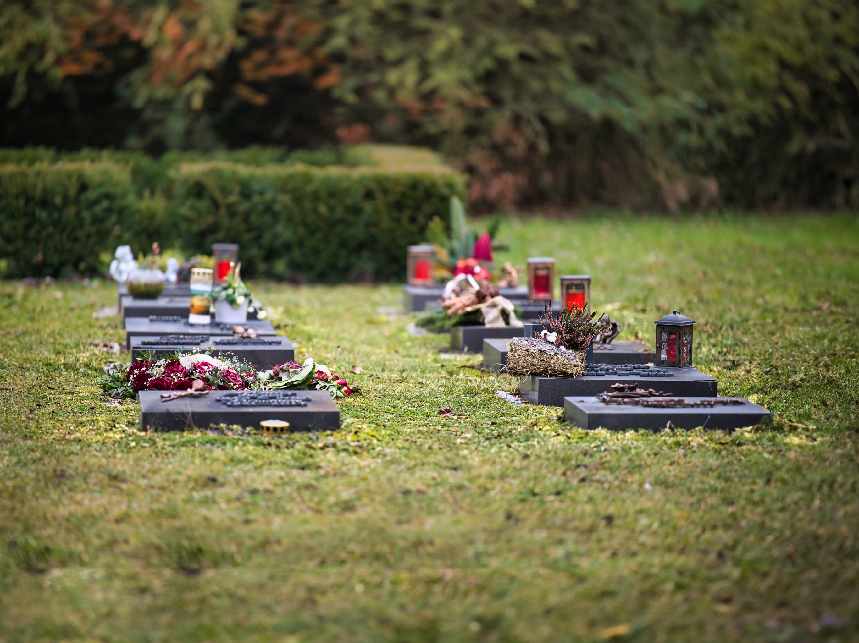 Felix Meißel Felix Meißel